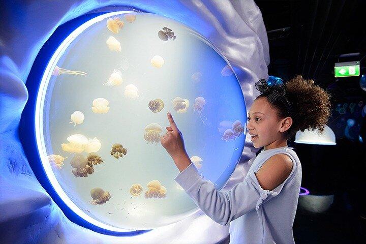 ロンドン水族館の入場券