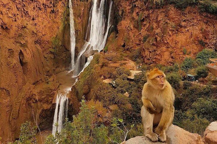 Full-Day Tour in Ouzoud Waterfalls from Marrakech with Pick Up