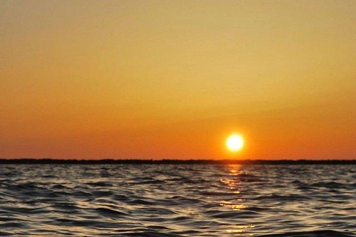 サンセットツアー | Ria Formosa - ファロから