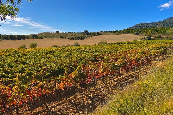 Tour privado de vinho La Rioja com degustações e almoço - dia inteiro