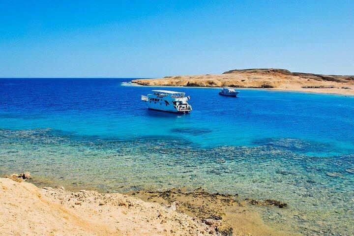 Ras Mohammed og White Island med båd fra Dahab