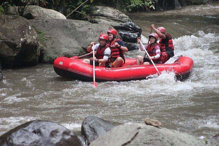 Rafting at Ayung River(Include Return Hotel Transportation)