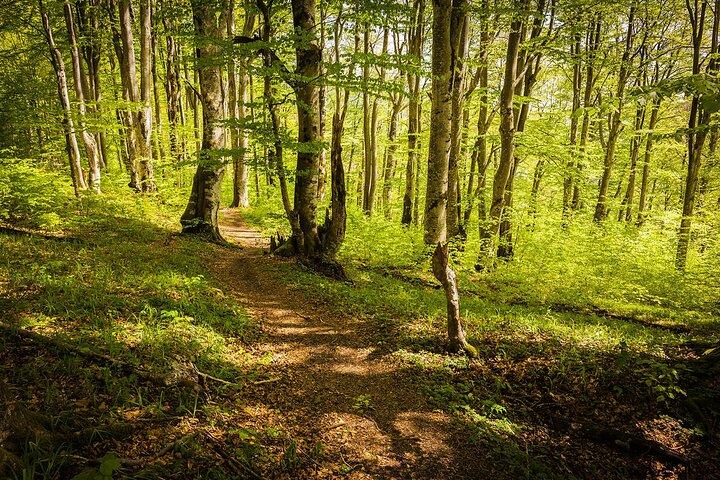Tour zu den Plitvicer Seen ab Split mit Eintrittskarte inklusive