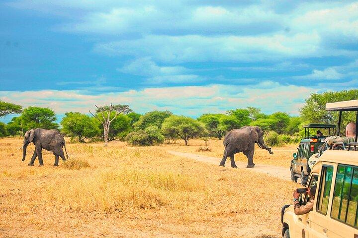 Dag Safari-tour naar Selous Game Reserve vanuit Zanzibar
