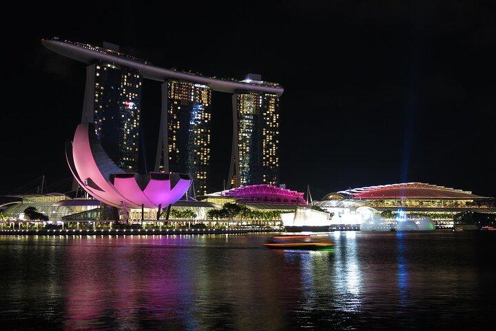 Singapore by Night Top Senic Sightseeing Private Tour