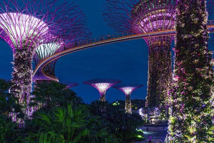 Singapore by Night Top Senic Sightseeing Private Tour