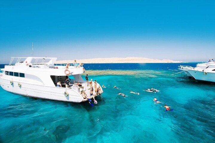 Snorkeling sull'isola di Tiran Escursione in barca da Sharm El Sheikh