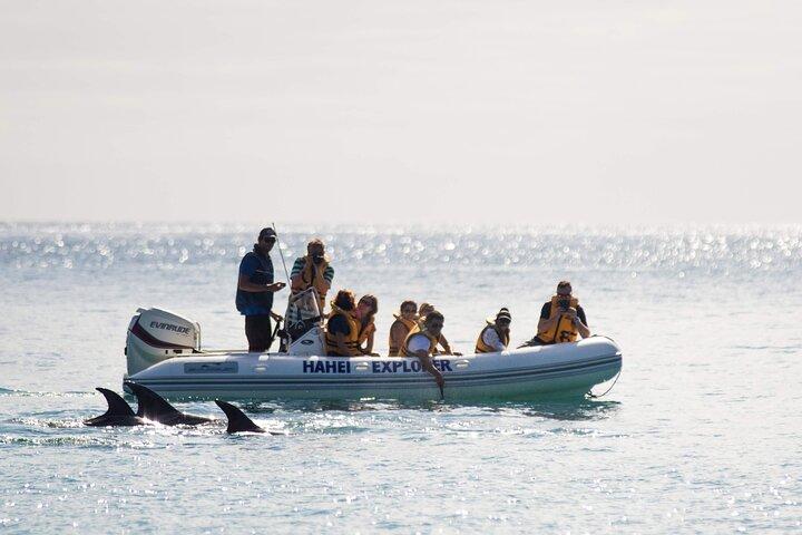 Tour de una hora en barco por la ensenada de la catedral en Hahei