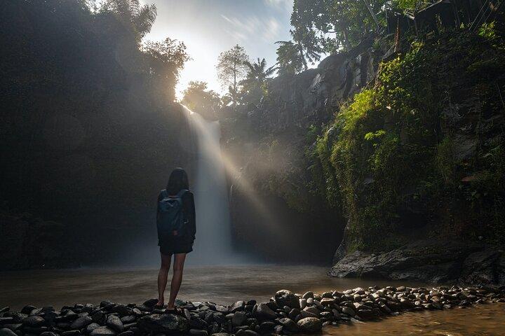 Ubud Day Tour - Le migliori cose da fare a Ubud + Guida locale di Ubud