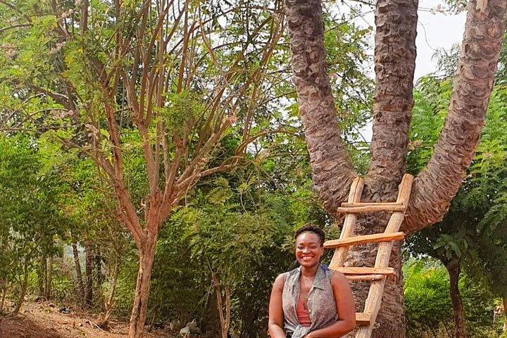 En resa till The Boti Twins Falls & Aburi Botanical Garden