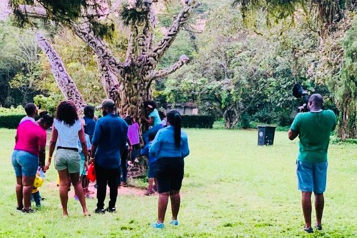 En resa till The Boti Twins Falls & Aburi Botanical Garden