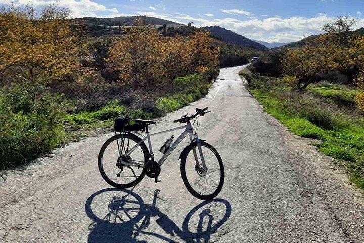 古代ネメアでの終日プライベート電動自転車＆ワインツアー