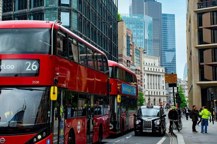 ロンドン完全オーダーメイド プライベート ツアー : 地元ガイド付き半日