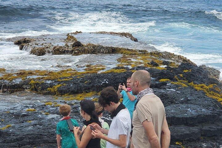 Big Island Southside ATV Tour