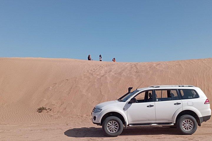Desert and Wild Beach Day Trip with Meal