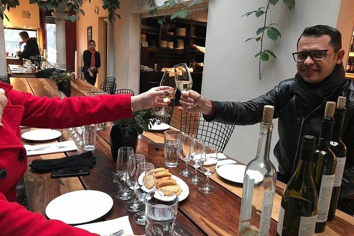 Argentinian Private Premium Wine Tasting Live+Guided Walking tour