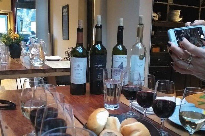 Argentinian Private Premium Wine Tasting Live+Guided Walking tour