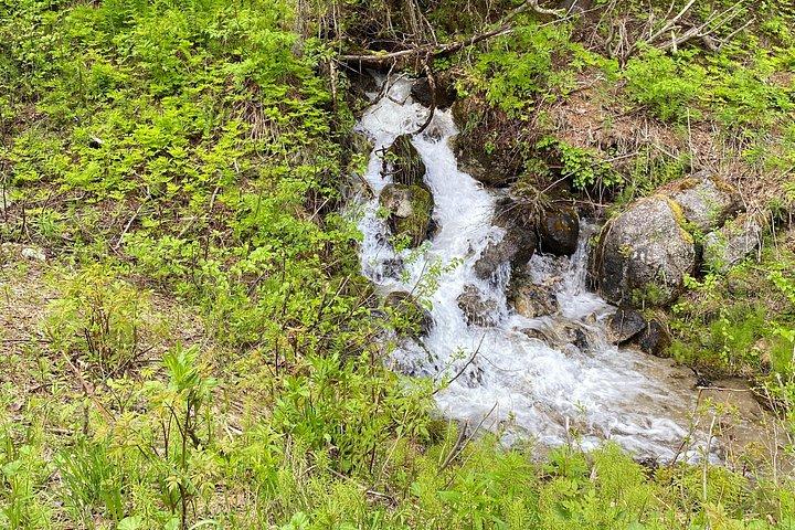 White Pass Deluxe Tour from Skagway