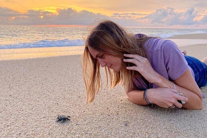 Los Cabos Sunset Turtle udgivelse bevaringsoplevelse