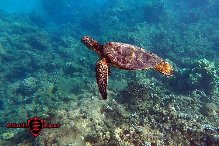 カヤック＆シュノーケリングツアー-オロワル・マウイ島