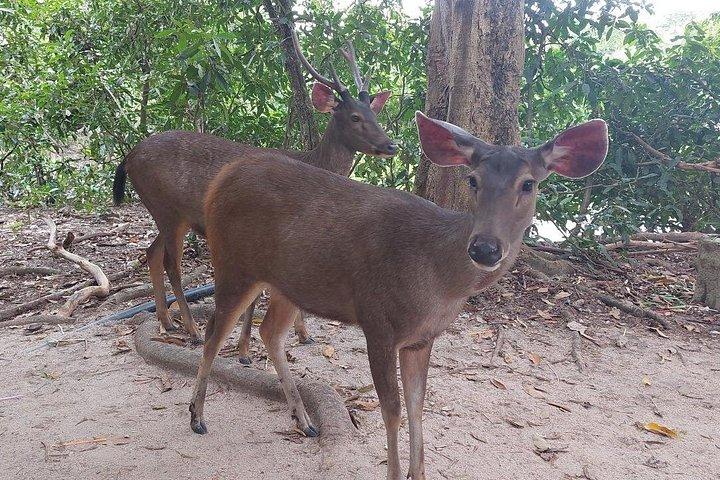 プノンペンからプノンチソルへの日帰り旅行 - トンレバティ