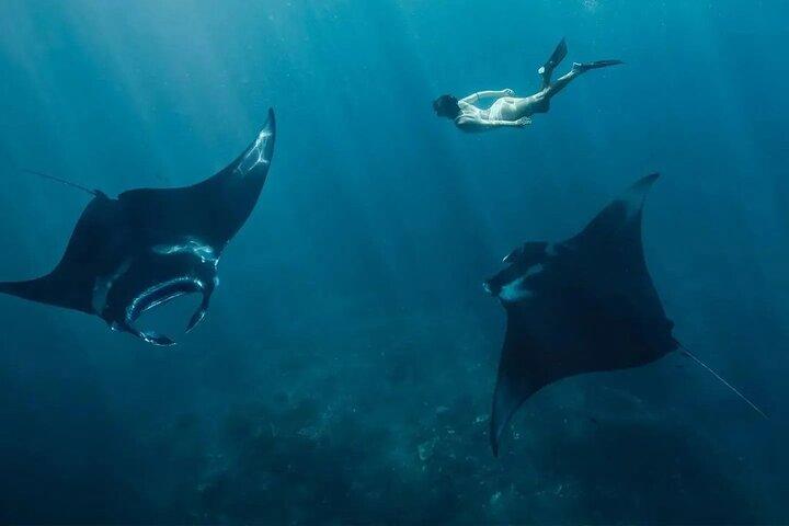 Nusa Penida Snorkeling Manta Rayas y Tour por tierra Oeste Todo Incluido