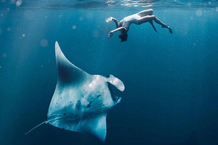 Nusa Penida Snorkeling Manta Rayas y Tour por tierra Oeste Todo Incluido