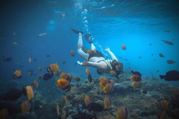 Nusa Penida Snorkeling Manta Rayas y Tour por tierra Oeste Todo Incluido