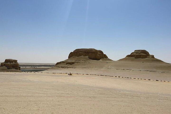 Eendaagse privésafari met gids naar Faiyum vanuit Caïro met lunch