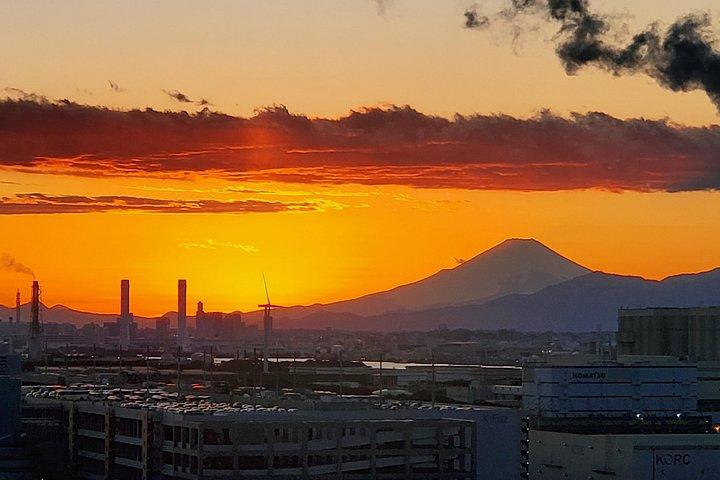 Professionally guided Tokyo Private Walking Tour