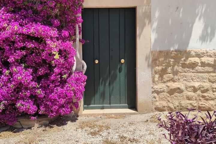 Vineyard Wine Tasting &soft lunch &transfer included