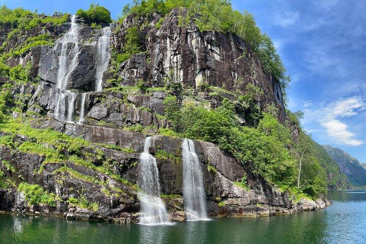 Bergen til Hardangerfjord VIP-bil + privat yacht Fjordcruise