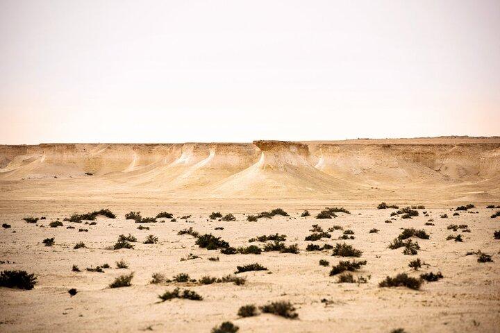 Vest for Qatar Tour || Richard Serra || Svampeklippeformation