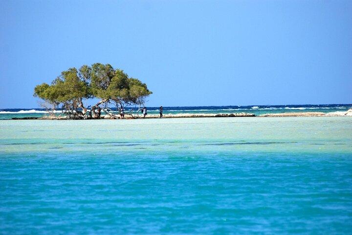 Full-Day Private Cruise in Ain Sokhna with Lunch