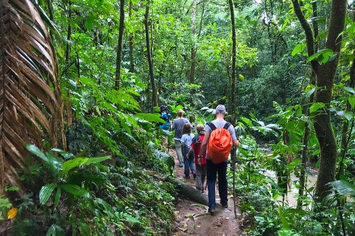 Caminhada guiada pela Mystic Ebano Rainforest na Costa Rica