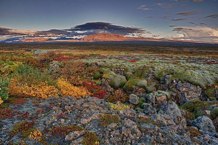 4 - Soggiorno di un giorno a Reykjavík con Golden Circle, Blue Lagoon & Aurora