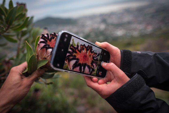 Privately Guided Table Mountain Hike – Kasteelspoort Route