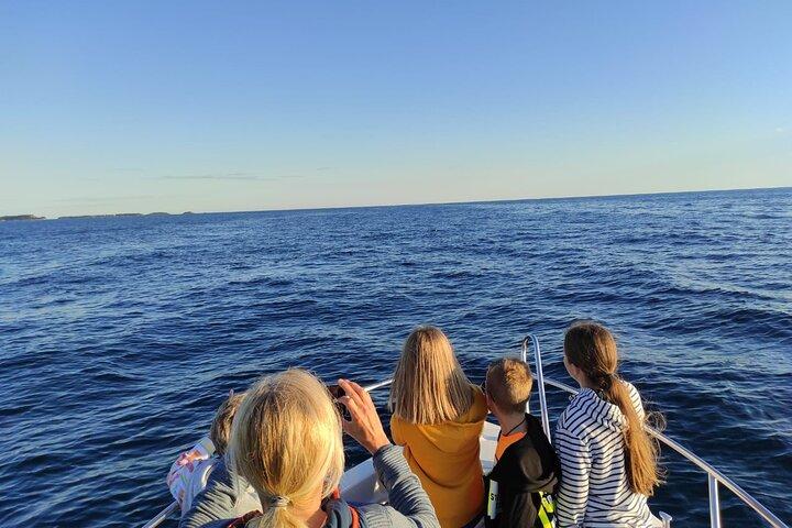Rovinj om natten