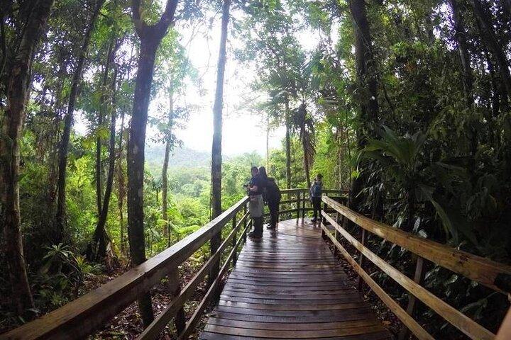 Promenade dans la forêt tropicale de Veragua, excursion en tram et en bateau Tortuguero. Excursion sur la côte de Limon