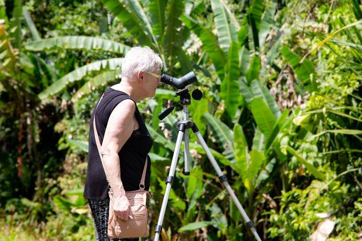 Promenade dans la forêt tropicale de Veragua, excursion en tram et en bateau Tortuguero. Excursion sur la côte de Limon