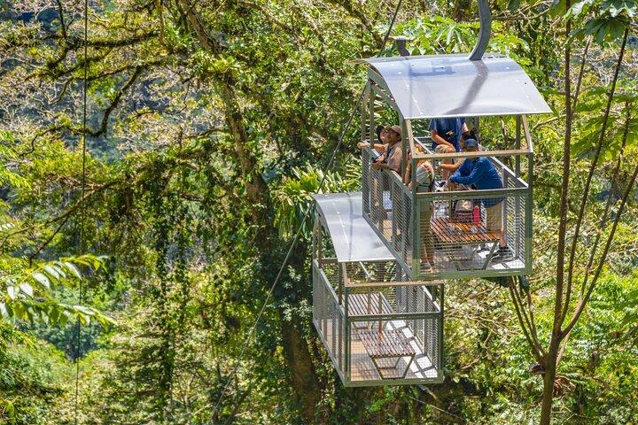 Promenade dans la forêt tropicale de Veragua, excursion en tram et en bateau Tortuguero. Excursion sur la côte de Limon