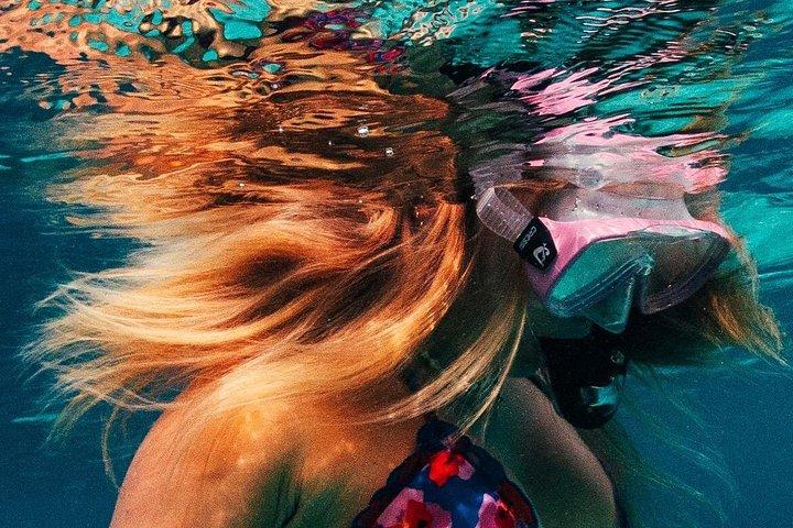 Private Bonaire Snorkeling Experience