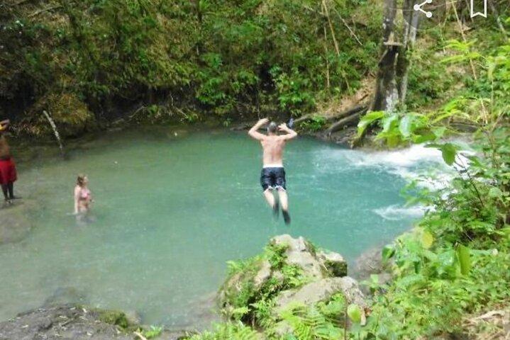 Mayfield Falls Tour com almoço, bebida, entrada e transporte (Original)