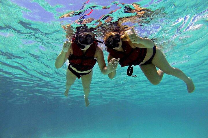 Cenote & Turtles Swim Tour! Avventura nella barriera corallina da Playa del Carmen