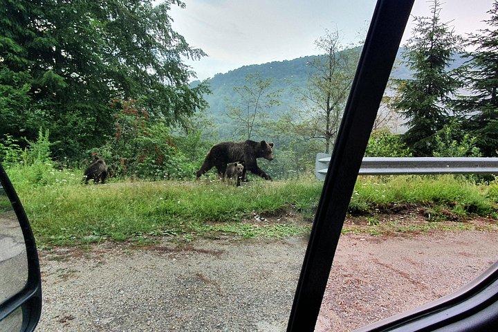 ブカレストからのTransfagarasan Roadを備えた3日間のプライベートツアールーマニア