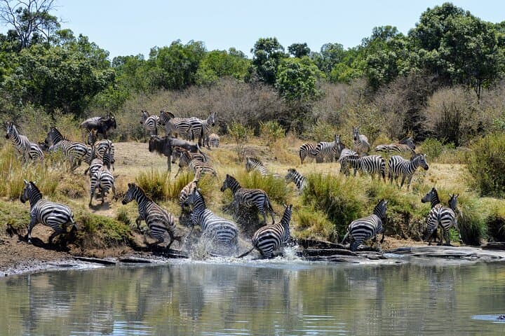 3 - Day classic safari to Masai Mara with optional Masai Village