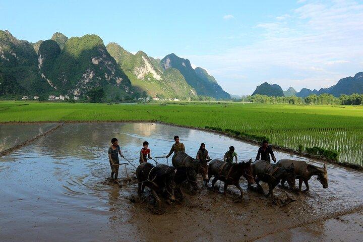 4-daagse privétour naar Cao Bang vanuit Hanoi