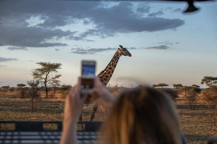 Safari de campamento de aventura de 5 días a Serengeti, cráter de Ngorongoro y Tarangire