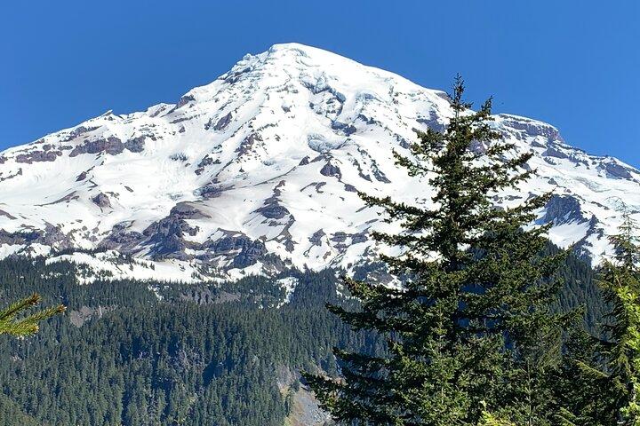 Randonnée guidée sur le Mont Rainier - vue sur la vieille forêt, les chutes et les glaciers