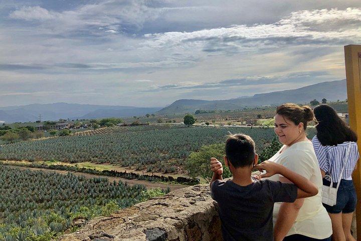 Guachimontones Round Pyramids: Half-Day Private Tour